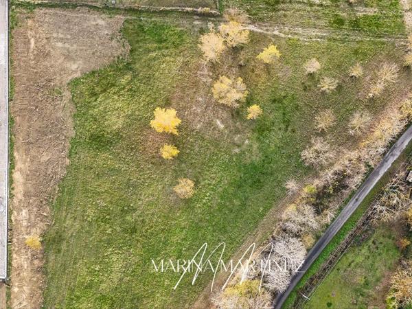 Rare ! Terrain plat et arboré de plus de 1 430 m² avec superbe vue