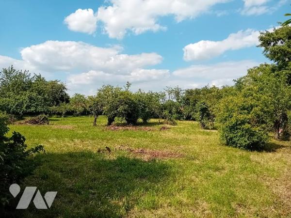 Terrain à vendre Curzay-sur-Vonne