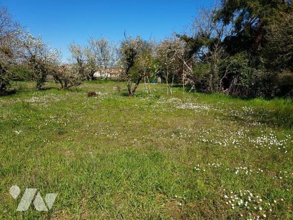 Terrain à vendre Curzay-sur-Vonne