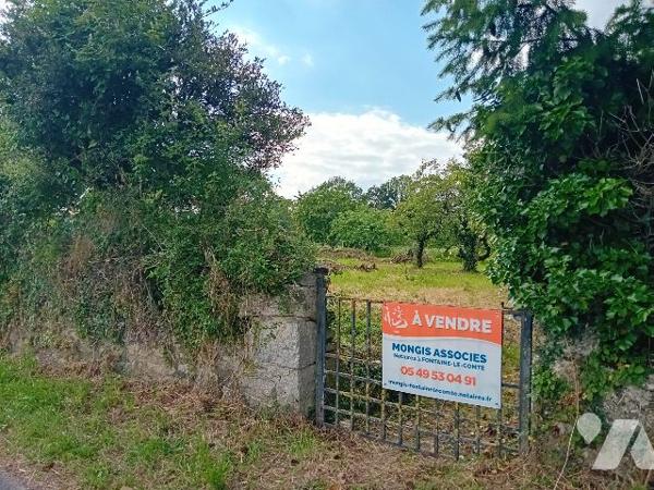 Terrain à vendre Curzay-sur-Vonne