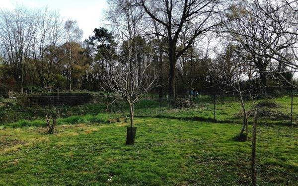 Maison à vendre    7 pièces • 190 m2 Saint-Gorgon