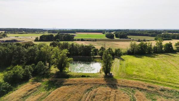 Ancienne ferme et ses dépendances avec 16ha Grisolles