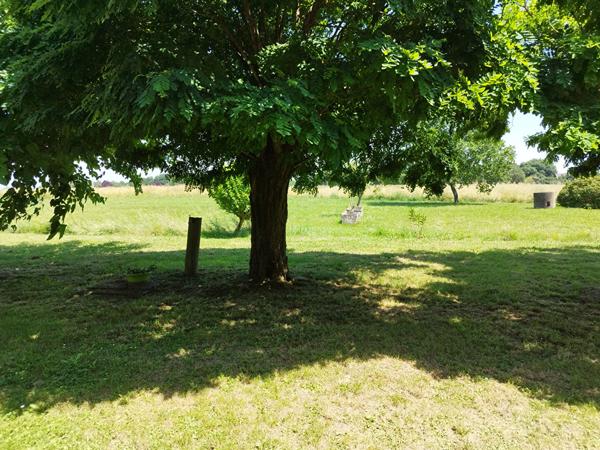Ancienne ferme et ses dépendances avec 16ha Grisolles