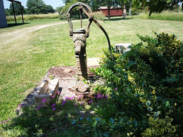 Ancienne ferme et ses dépendances avec 16ha Grisolles