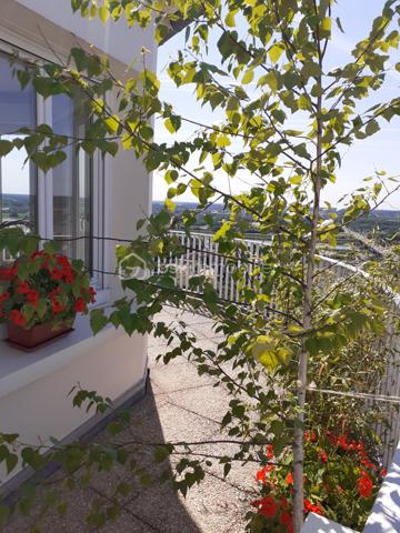 Appartement de 71 m²