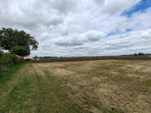 Construisez votre maison à Tesson