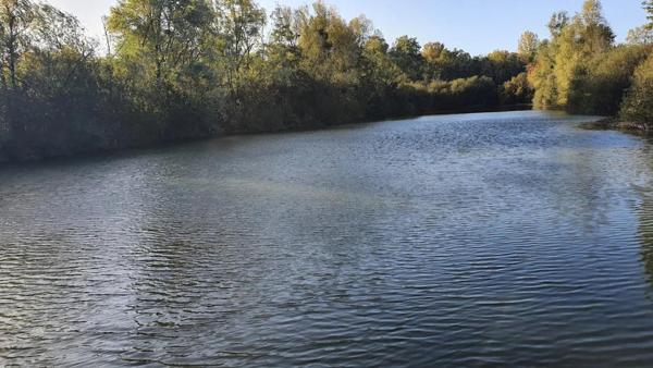 Magnifique plan d' eau pour  les accros de la pêche
