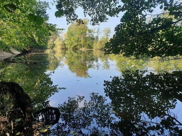 Magnifique plan d' eau pour  les accros de la pêche