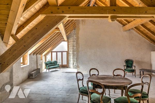 UNIQUE ! A St Julien, château médiéval partiellement rénové de plus de 250 m2 (hors grange)  sur 1 h