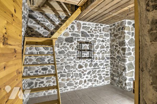 UNIQUE ! A St Julien, château médiéval partiellement rénové de plus de 250 m2 (hors grange)  sur 1 h