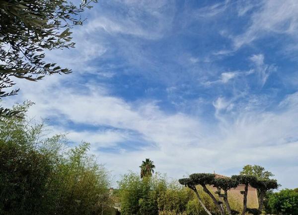 Terrain à vendre    Mèze