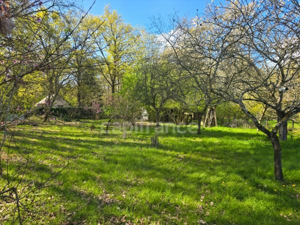 Entre Le Mans et Tours, découvrez ce terrain de loisirs et son chalet au cœur d’un environnement naturel privilégié à Aubigné-Racan
