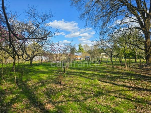 Entre Le Mans et Tours, découvrez ce terrain de loisirs et son chalet au cœur d’un environnement naturel privilégié à Aubigné-Racan