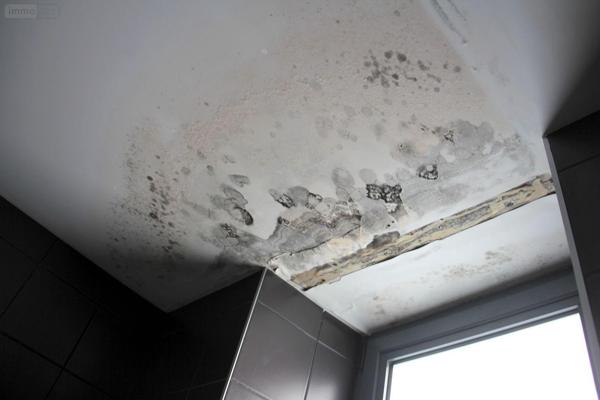 Maison à vendre à Rennes en Ille-et-Vilaine (35700), ref : 2527   
thabor