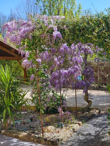 Maison Merville 6 pièce(s) 148 m2 sur 1120 m² de terrain avec piscine chauffée et garage