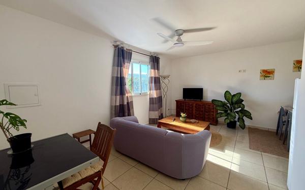 Immeuble à vendre    7 pièces •  Saint-Pierre