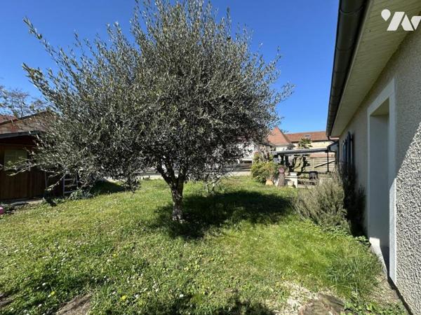 Maison 3 chambres avec jardin