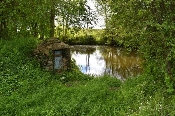 Charmante Fermette nichée dans un écrin de verdure