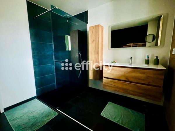 Appartement 3 pièces - 101 m² Exclusivité efficity