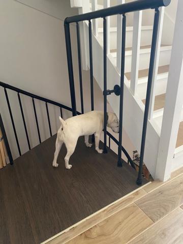 Maison à vendre 6 pièces ALLAUCH (13)