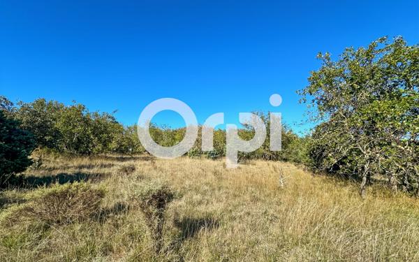 Terrain à vendre    Ruoms