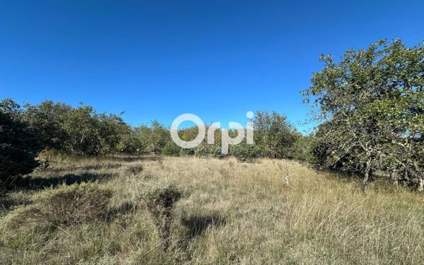 Terrain à vendre    Ruoms