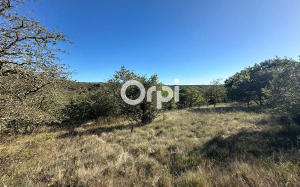 Terrain à vendre    Ruoms