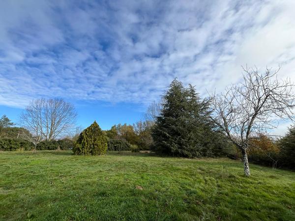 Grande parcelle de 3500 m² !