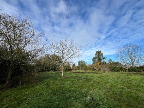 Grande parcelle de 3500 m² !