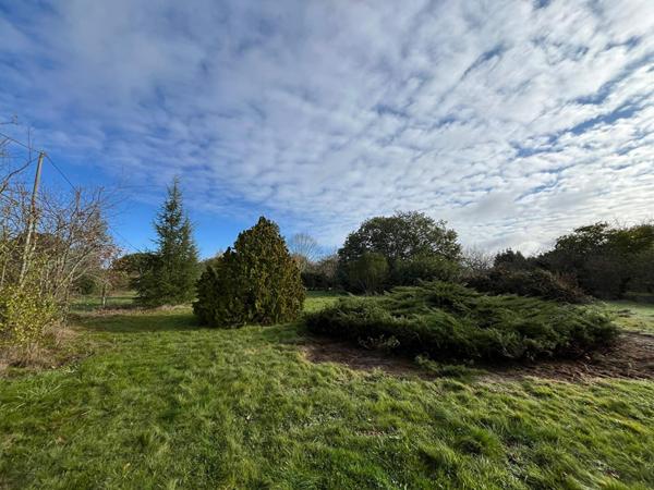 Grande parcelle de 3500 m² !