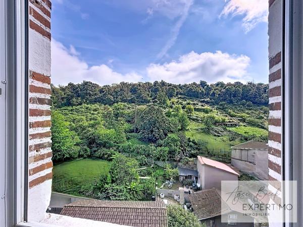 Vienne (38200) PROPRIÉTÉ DE CARACTÈRE – 2 HABITATIONS + 8 718 m² DE TERRAIN – RARE À VIENNE CENTRE