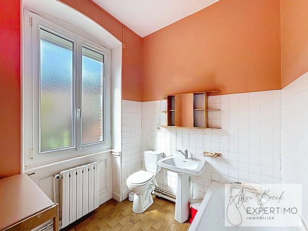 Vienne (38200) PROPRIÉTÉ DE CARACTÈRE – 2 HABITATIONS + 8 718 m² DE TERRAIN – RARE À VIENNE CENTRE