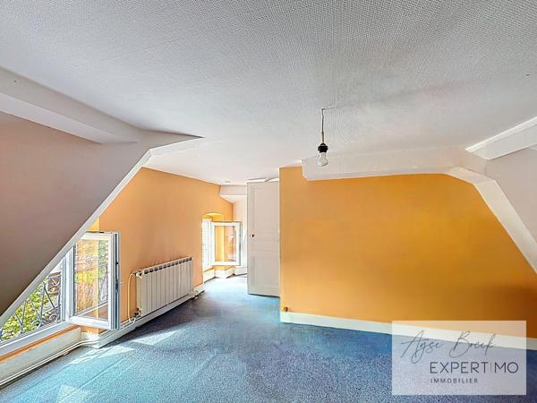 Vienne (38200) PROPRIÉTÉ DE CARACTÈRE – 2 HABITATIONS + 8 718 m² DE TERRAIN – RARE À VIENNE CENTRE