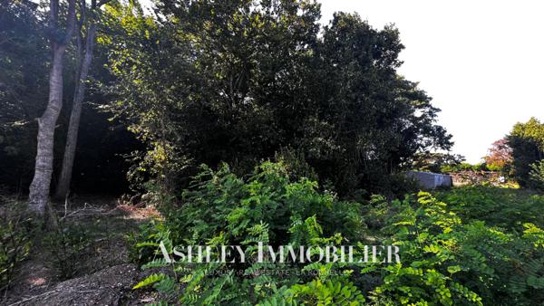 A VENDRE TERRAIN CONSTRUCTIBLE NIEUL SUR MER