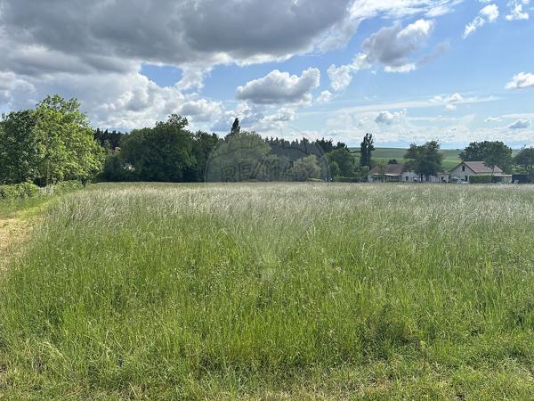 Terrain  en vente - Yonne - 89