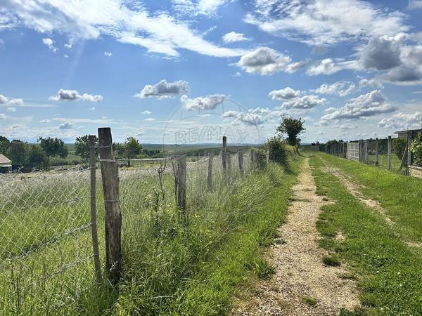 Terrain  en vente - Yonne - 89