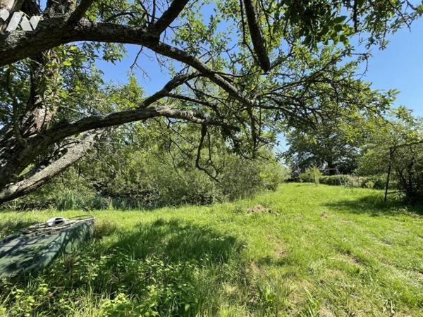 TERRAIN de LOISIRS de 3700m² sur MAROLLES LES BRAULTS