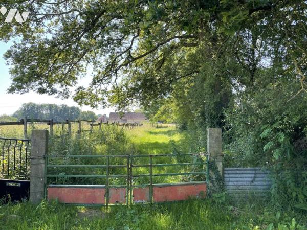 TERRAIN de LOISIRS de 3700m² sur MAROLLES LES BRAULTS