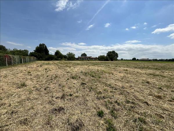 Terrain à vendre |  Castelsarrasin |  20000 m²