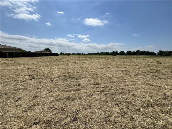 Terrain à vendre |  Castelsarrasin |  20000 m²