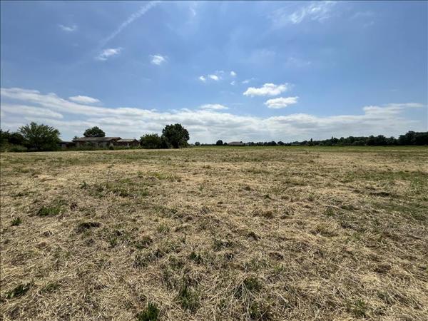 Terrain à vendre |  Castelsarrasin |  20000 m²
