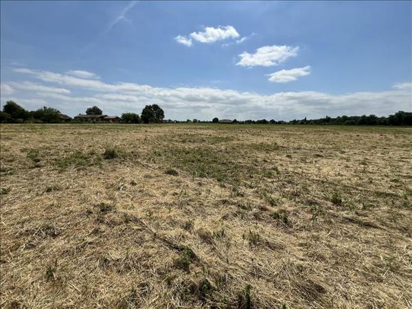 Terrain à vendre |  Castelsarrasin |  20000 m²