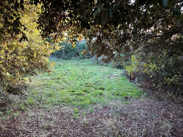 Maison de village avec jardin non attenant située dans un village à 5 minutes de Bram Villesiscle (11150)