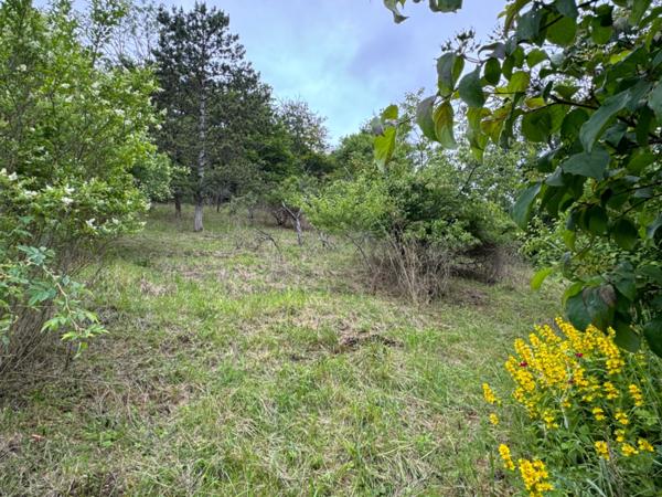 MAISON DE CARACTÈRE DANS UN CADRE UNIQUE