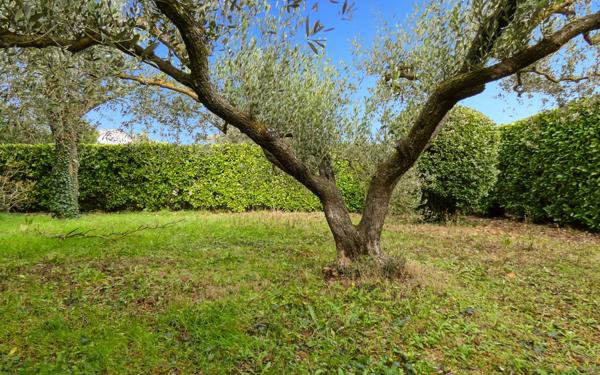 Maison à vendre    6 pièces • 133 m2 Tresques