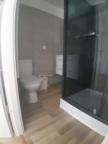 Location Studio meublé 17.42 m² - Saint-dié-des-vosges 88100