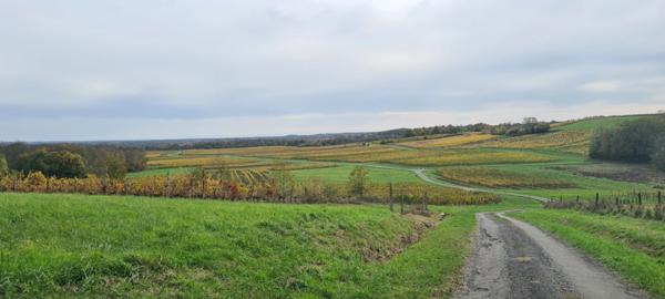 Propriété à vendre 8 pièces (17)