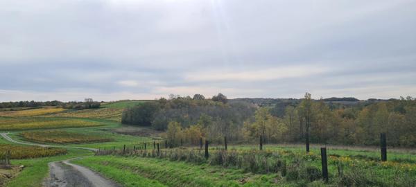 Propriété à vendre 8 pièces (17)