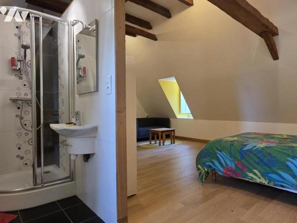 Maison de caractère centre ville, 219m² habitables avec 5 chambres, 2 bureaux, garage et jardin