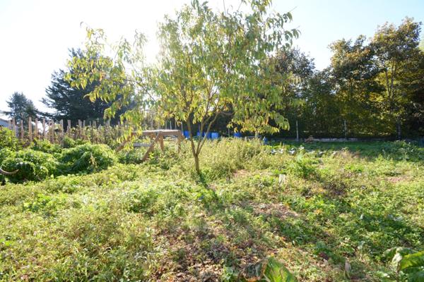 Maison à vendre 5 pièces avec 3 chambres garage / atelier / jardin proche de MANSLE (16)